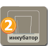 Вставьте микролунку в инкубатор
