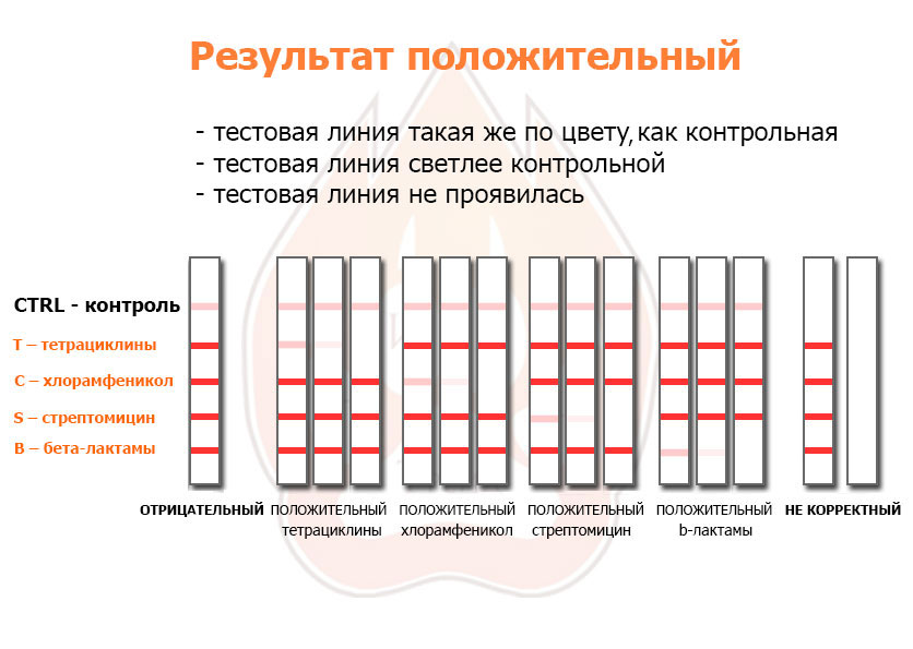 Расшифровка тестов