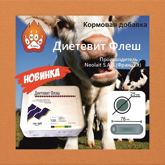 Диетвит Флеш.jpg Диетвит Флеш.jpg