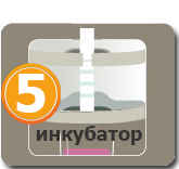 Вставьте тест-полоску